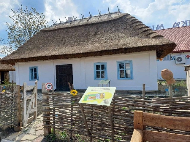 Старовинна українська хата з села Товсте Чортківського району